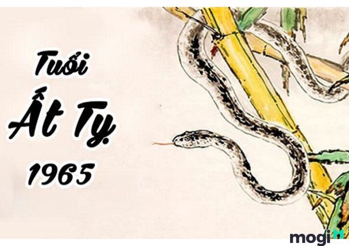 Ất Tỵ năm 1965