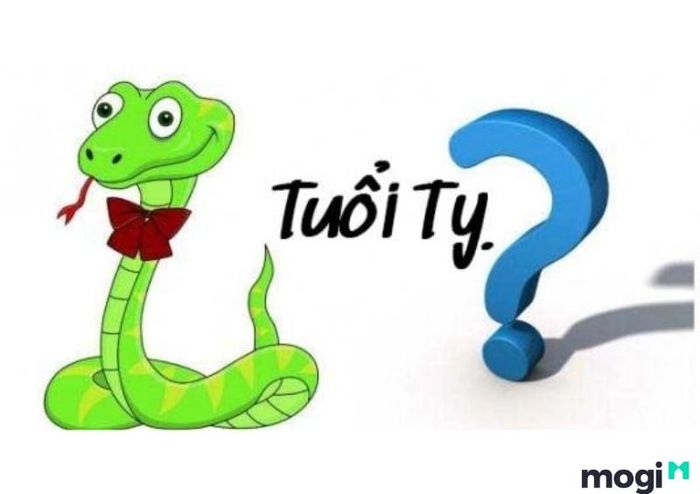 Tuổi Tỵ Là Con Gì?