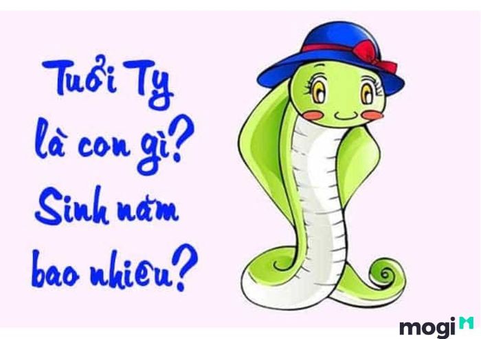 Những người tuổi Tỵ sinh vào năm nào?