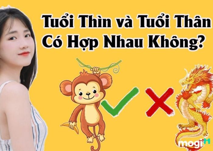 Tuổi hợp với tuổi Thìn