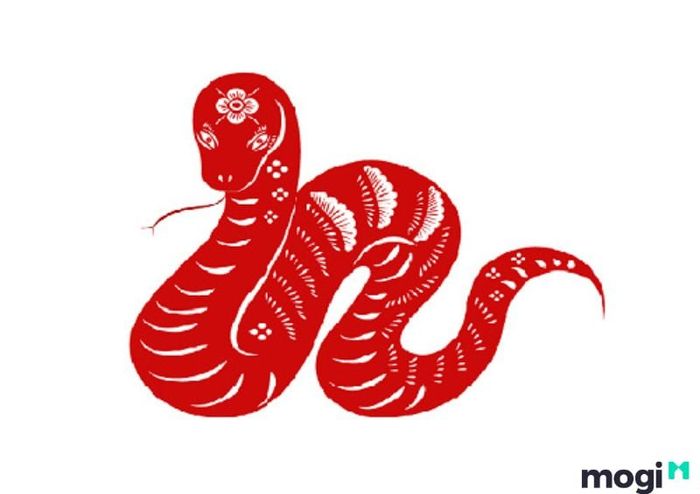 Tuổi Tỵ hợp với màu sắc nào?