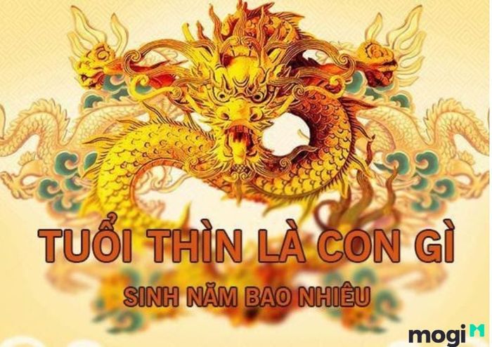 Tuổi Thìn sinh vào những năm nào? Và người tuổi Thìn có mệnh gì?