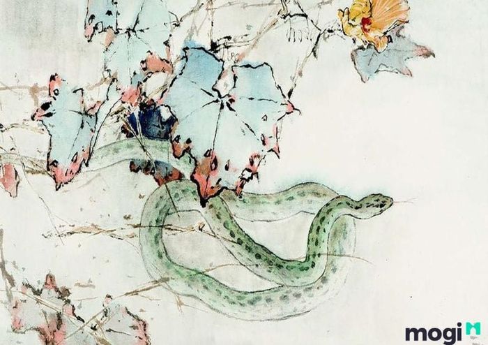 Tuổi Tỵ sẽ khắc với những tuổi nào?