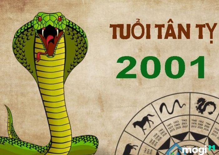 Tân Tỵ năm 2001