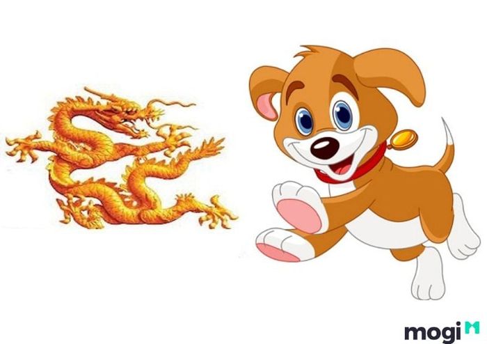 Tuổi kỵ với tuổi Thìn