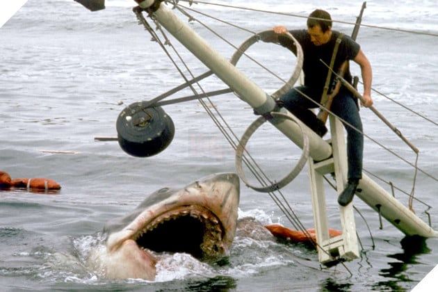 Cảnh quay chuẩn bị đạo cụ cá mập trong bộ phim 'Jaws'