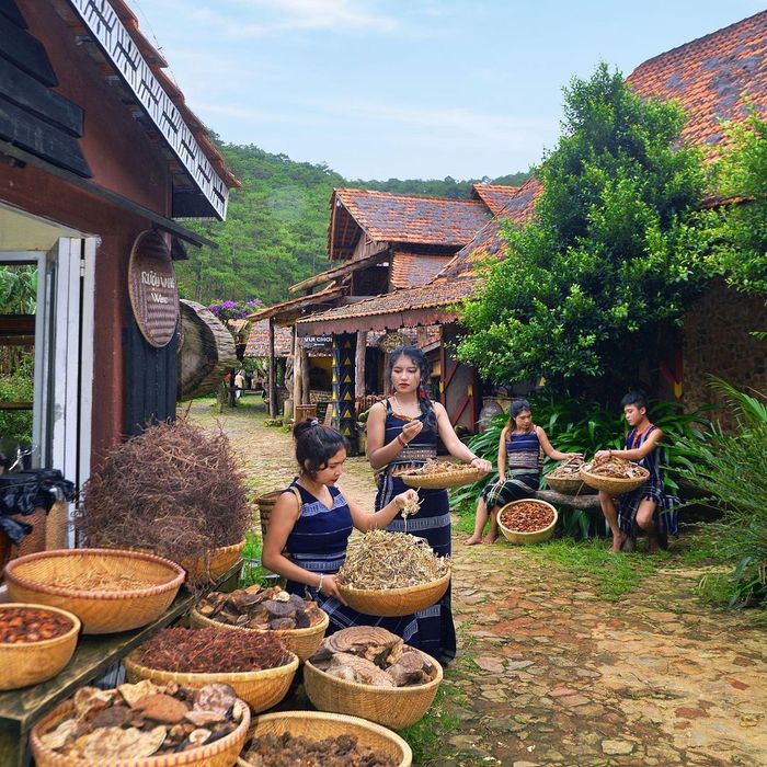 Làng Cù Lần Đà Lạt - Cuộc phiêu lưu vào thế giới cổ tích 18