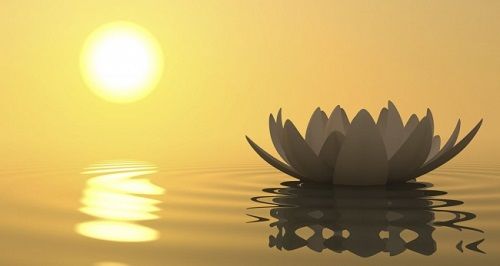 Lời Phật dạy về sai lầm khi yêu 1
