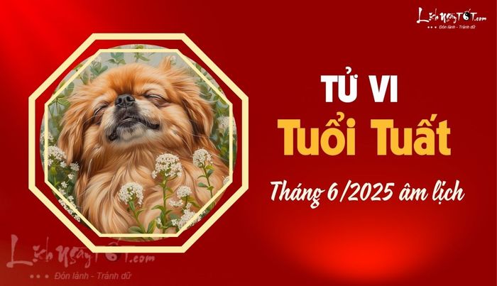 Tử vi tháng 6/2025 tuổi Tuất âm lịch