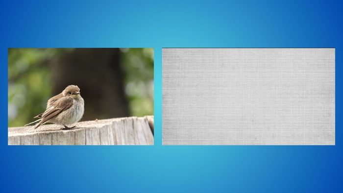 Sử dụng Layer Blend Modes