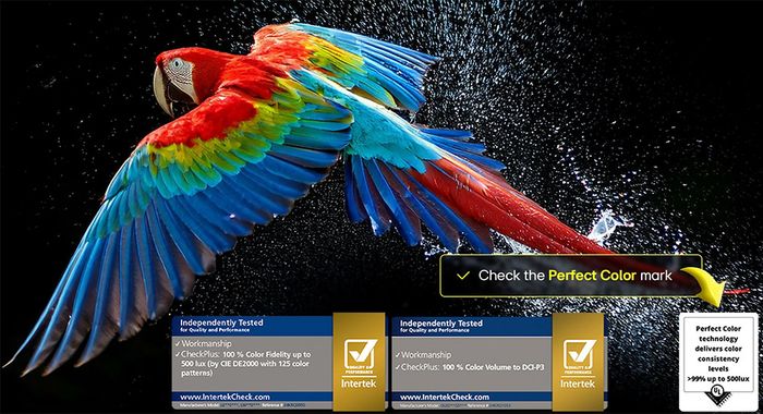 Tấm nền OLED Tivi LG OLED AI 4K 65 Inch OLED65B5PSA