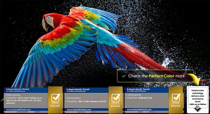 Dải màu rộng OLED Color Tivi LG OLED Evo AI 4K 97 Inch OLED97M5PSA