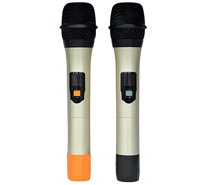 Loa kéo Bn Audio BA 600V đi kèm đôi micro không dây
