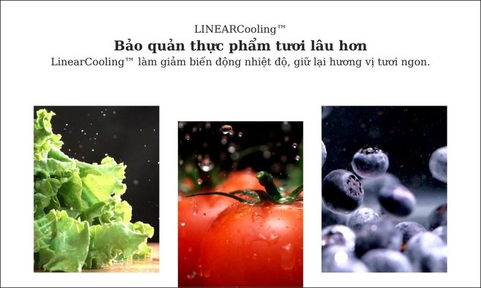Công nghệ LinearCooling trên Tủ Lạnh LG LTB26BLM