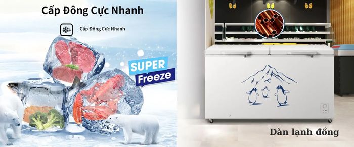 Dàn lạnh đồng, cấp đông cực sâu -30°C trên Tủ Đông Hisense FC520D4EWC1