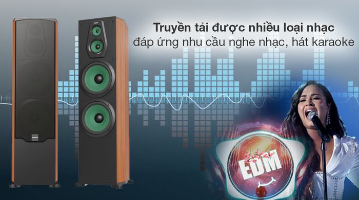 Cặp loa Paramax LX-2800 - Tiện ích