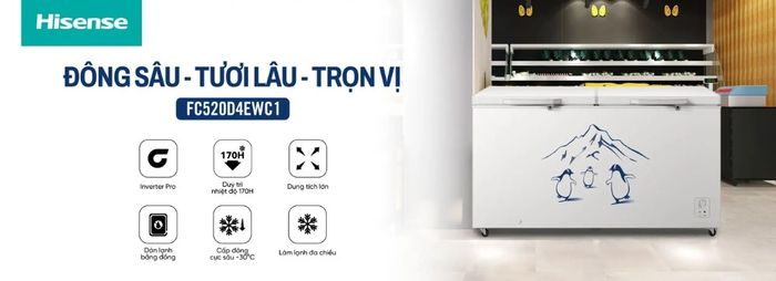 Tủ Đông Hisense Inverter 420 Lít FC520D4EWC1 sở hữu kiểu dáng nằm ngang