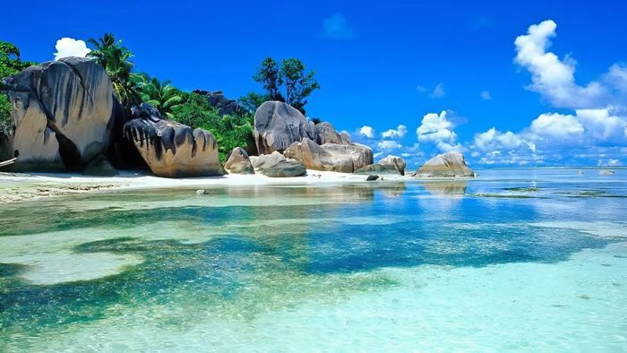 Hình nền thu hút tài lộc cho người mệnh Thủy 4K cho máy tính