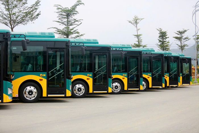 Thông tin chi tiết và lộ trình các tuyến xe buýt TP. HCM năm 2025