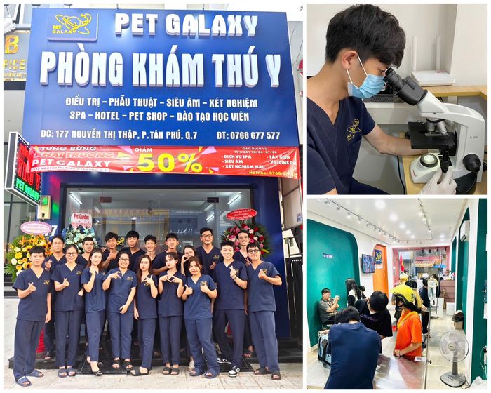 phong mach thu y TPHCM.jpg
