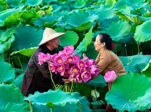 Trải nghiệm nỗi đau sẽ giúp bạn dần hoàn thiện bản thân.