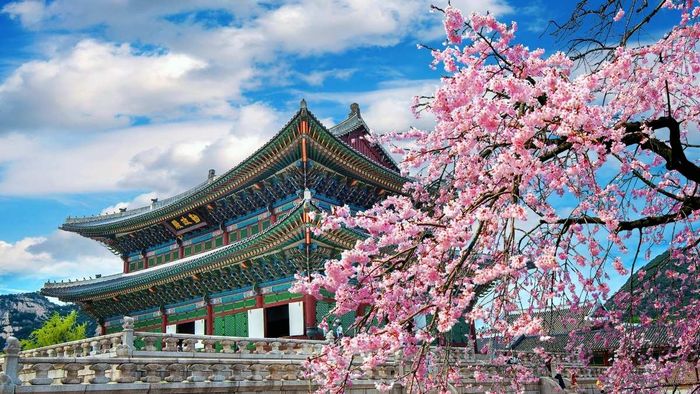 Tải hình nền máy tính hút tài lộc dành riêng cho người mệnh Mộc