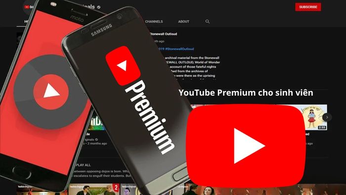 YouTube Premium cho sinh viên dễ dàng sử dụng