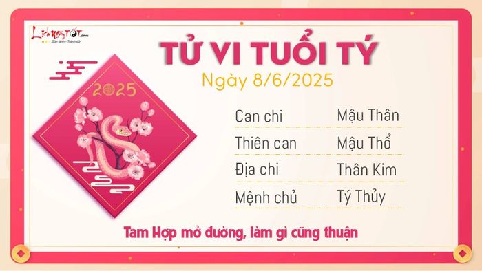Tử vi hàng ngày 8/6/2025 của tuổi Tý