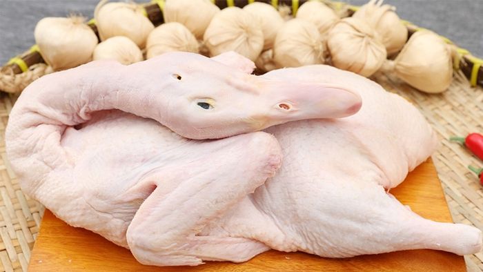 cach-nau-vit-nau-chao-1