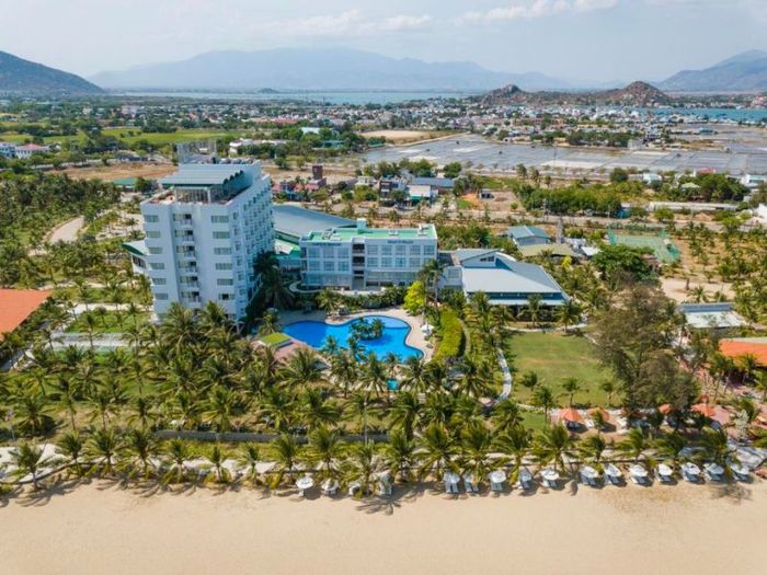Trọn bộ cẩm nang du lịch Ninh Thuận 2025 cho hành trình khó quên 5