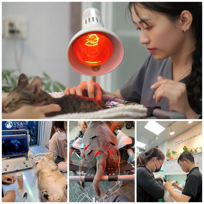 phong mach thu y TPHCM 2.jpg