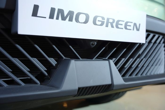 Limo Green (4).jpg