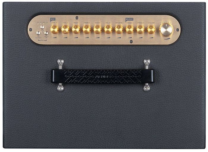 Bảng điều khiển loa ACNOS SONCAMEDIA ePOP 100