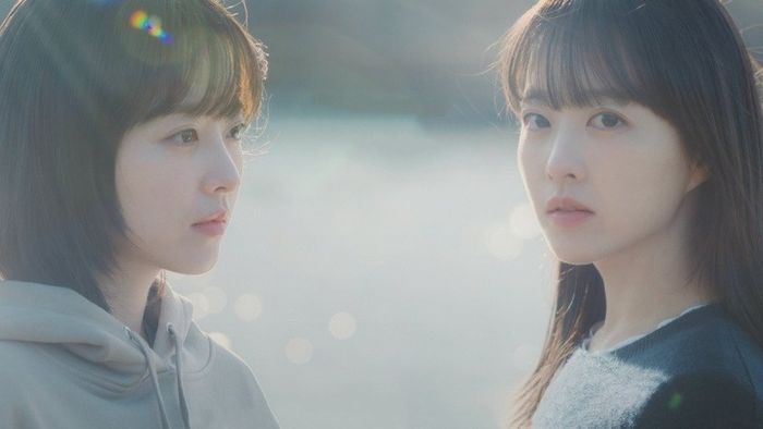 Park Bo Young xuất sắc hoàn thành cả hai vai chị em sinh đôi trong phim.