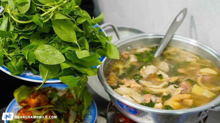 Sau khi hoàn thành cách nấu lẩu gà lá é mà Mytour đã hướng dẫn, bạn sẽ có ngay một nồi lẩu thơm ngon với màu vàng óng của nước lẩu, điểm thêm màu xanh mướt của lá é và sắc trắng của nấm, măng. Mùi thơm từ sả, tỏi, lá é hòa quyện với vị ngọt thanh của thịt gà tạo thành món ăn khó cưỡng. Thịt gà mềm dai, nước lẩu đậm đà, mùi lá é nhẹ nhàng nhưng the nồng khi ăn, khiến vị giác không thể cưỡng lại. Kết hợp với bún tươi hoặc mì trứng, thêm ít rau sống, món lẩu sẽ càng thêm đậm đà hương vị.