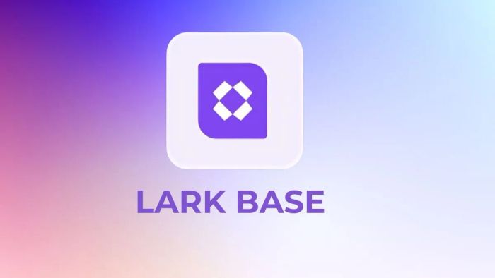 Lark Base là nền tảng quản lý dữ liệu đột phá, tích hợp nhiều công cụ hỗ trợ doanh nghiệp tối ưu hóa quy trình làm việc.
