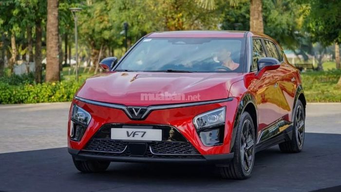 Cụm đèn LED với kích thước lớn