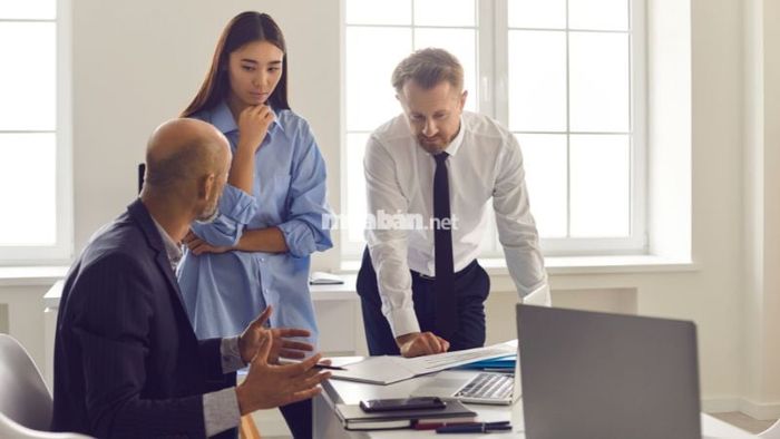 Trách nhiệm chính của Director
