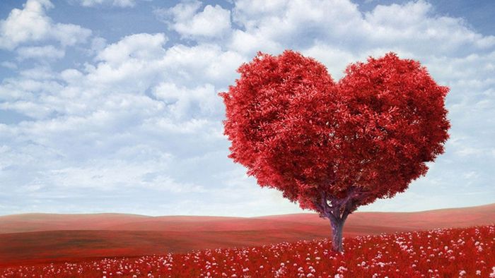 Bộ sưu tập hình nền 4K phong thủy kích tài lộc dành riêng cho người mệnh Hỏa