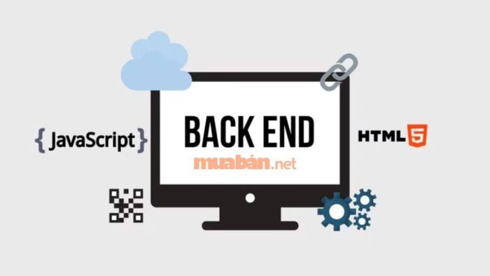 Nắm chắc kiến thức lập trình cơ bản