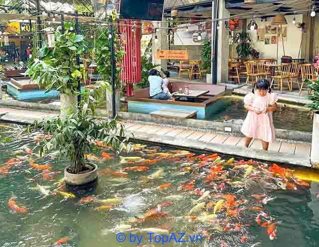 top những quán cafe cá Koi đẹp nhất tại Sài Gòn