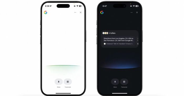 Search Live