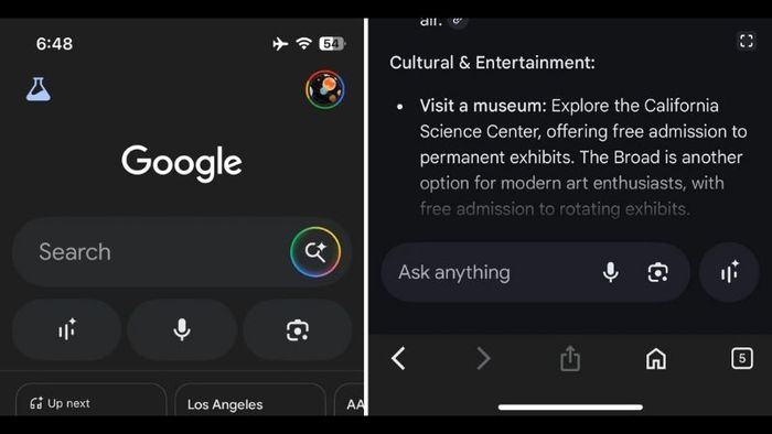 Search Live