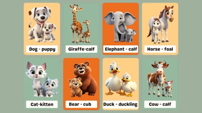 AI tạo flashcard là gì?