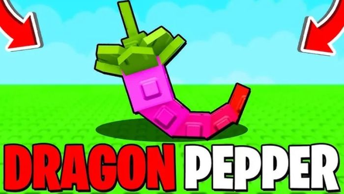 huong-dan-sat-huu-dragon-pepper