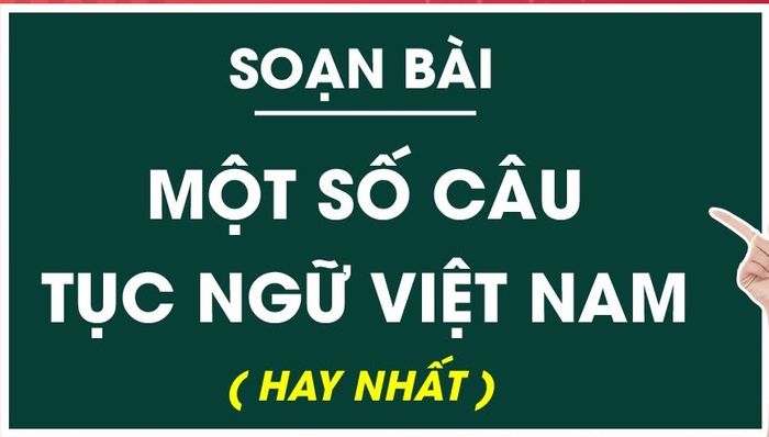 Hình ảnh minh họa số 2 (Nguồn tham khảo: internet)