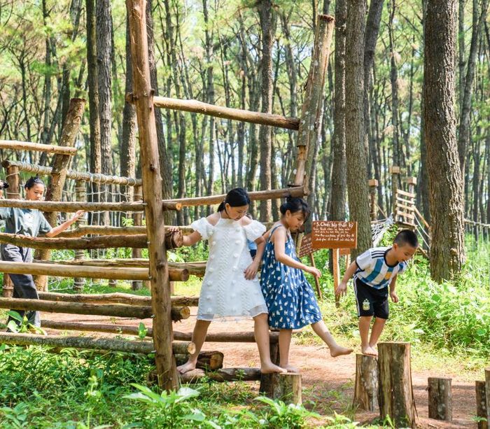 Đồi thông hồ Đồng Chương - điểm đến giải trí hấp dẫn bậc nhất