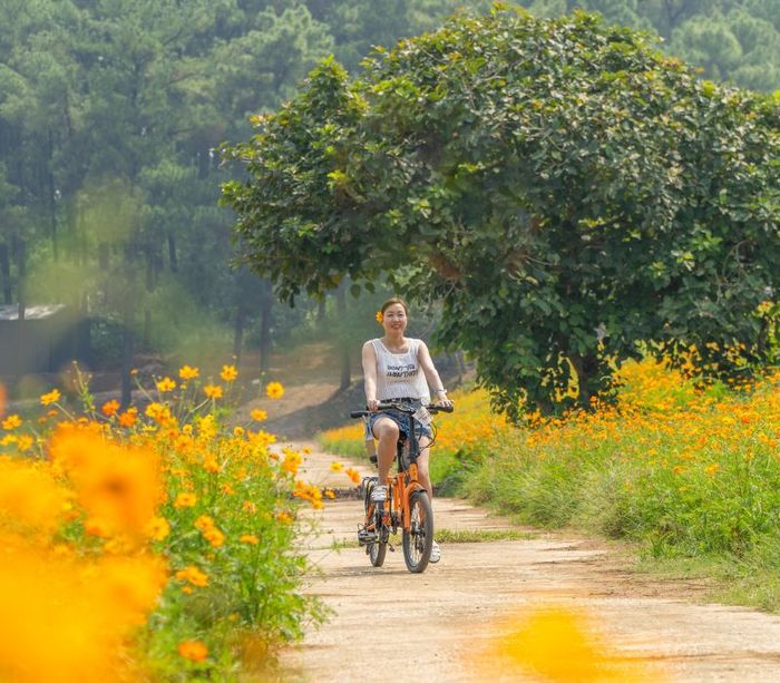 Đồi thông hồ Đồng Chương - điểm vui chơi hấp dẫn không thể chối từ