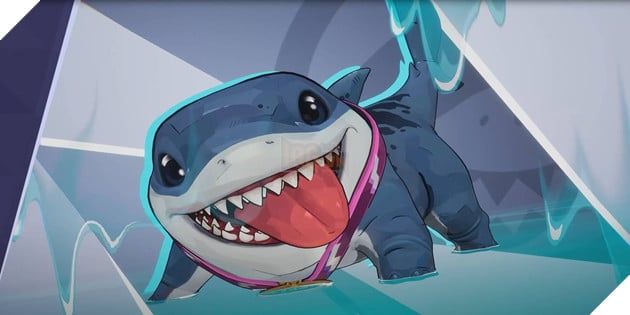 Jeff the Land Shark đã chứng minh giá trị như một vị trợ thủ đắc lực sau chuỗi ngày bị nghi ngờ