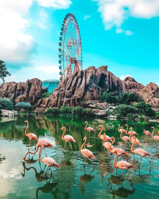 Cập nhật giá vé Vinpearl Nha Trang 2025 phiên bản mới